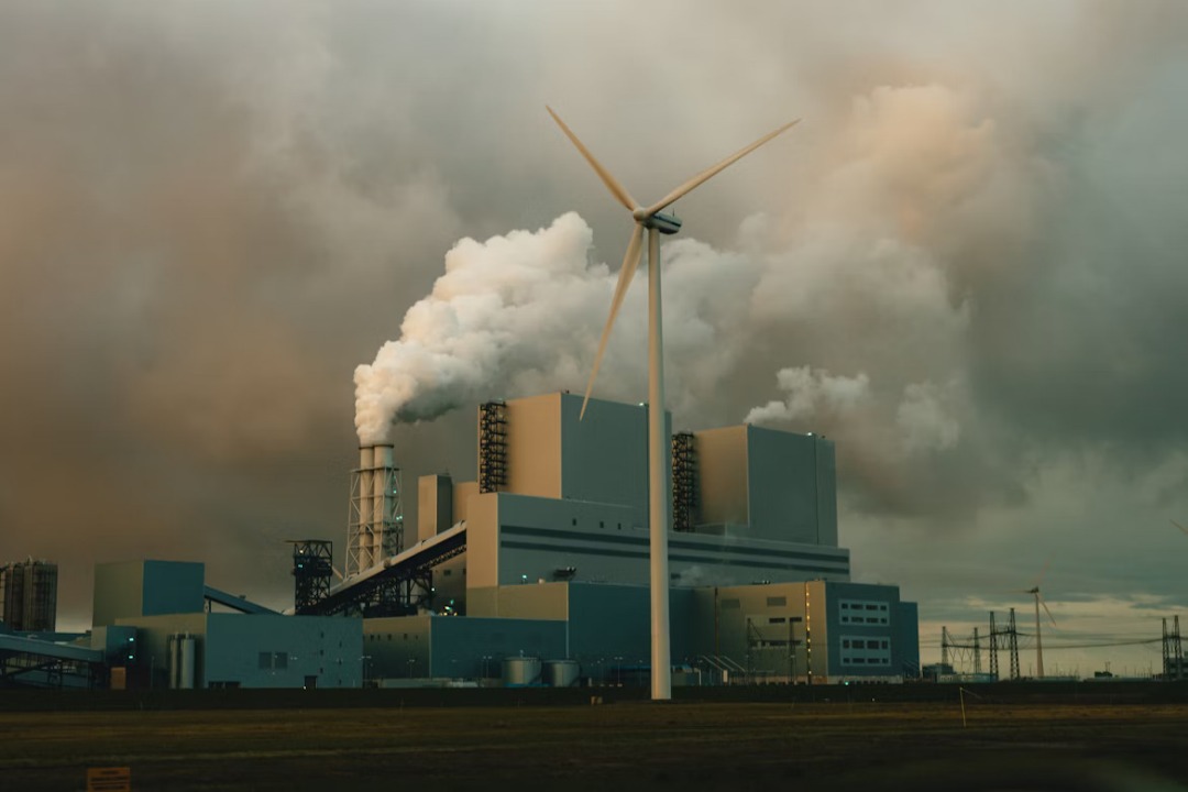AI for Sustainability: Amazon, Google, Oracle's Strategies | Justo Global