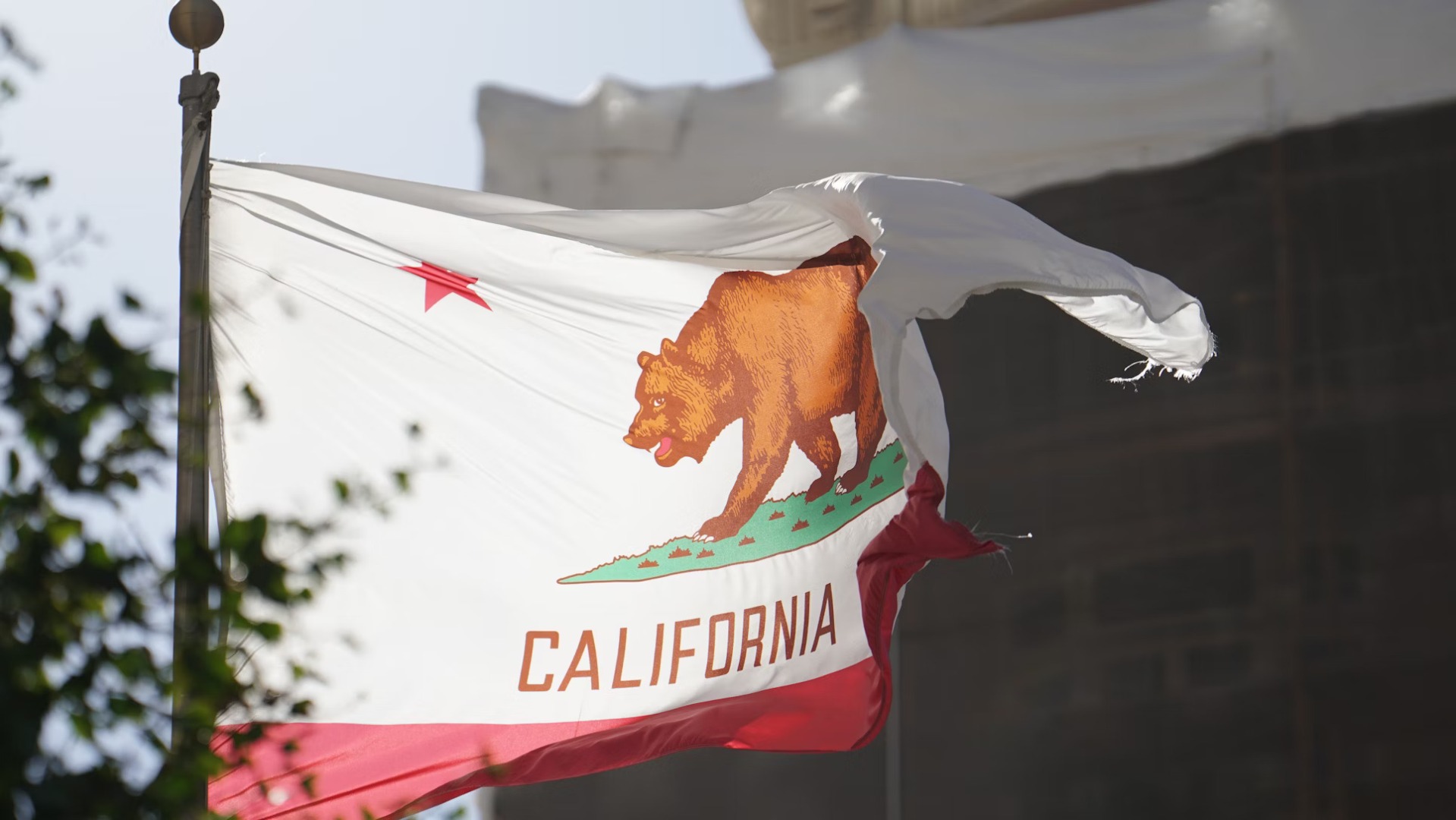 Meta Unveils Pro-AI Super-PAC in California | Justo Global