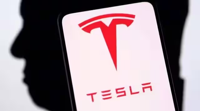 Tesla proposes building battery storage factory in India