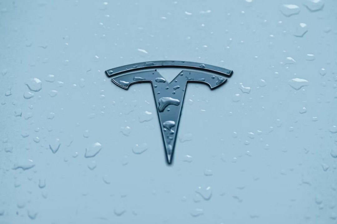 Due to Local Laws' Bug Fix | Musk News | Justo Global