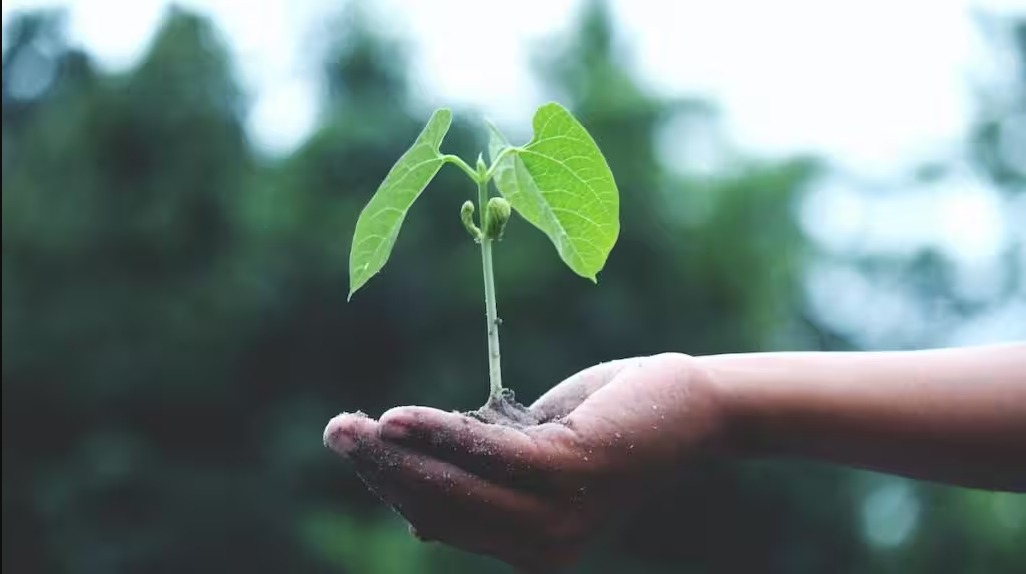 Govt’s MSME ZED certification scheme: Over 20,000 enterprises certified till August 2023