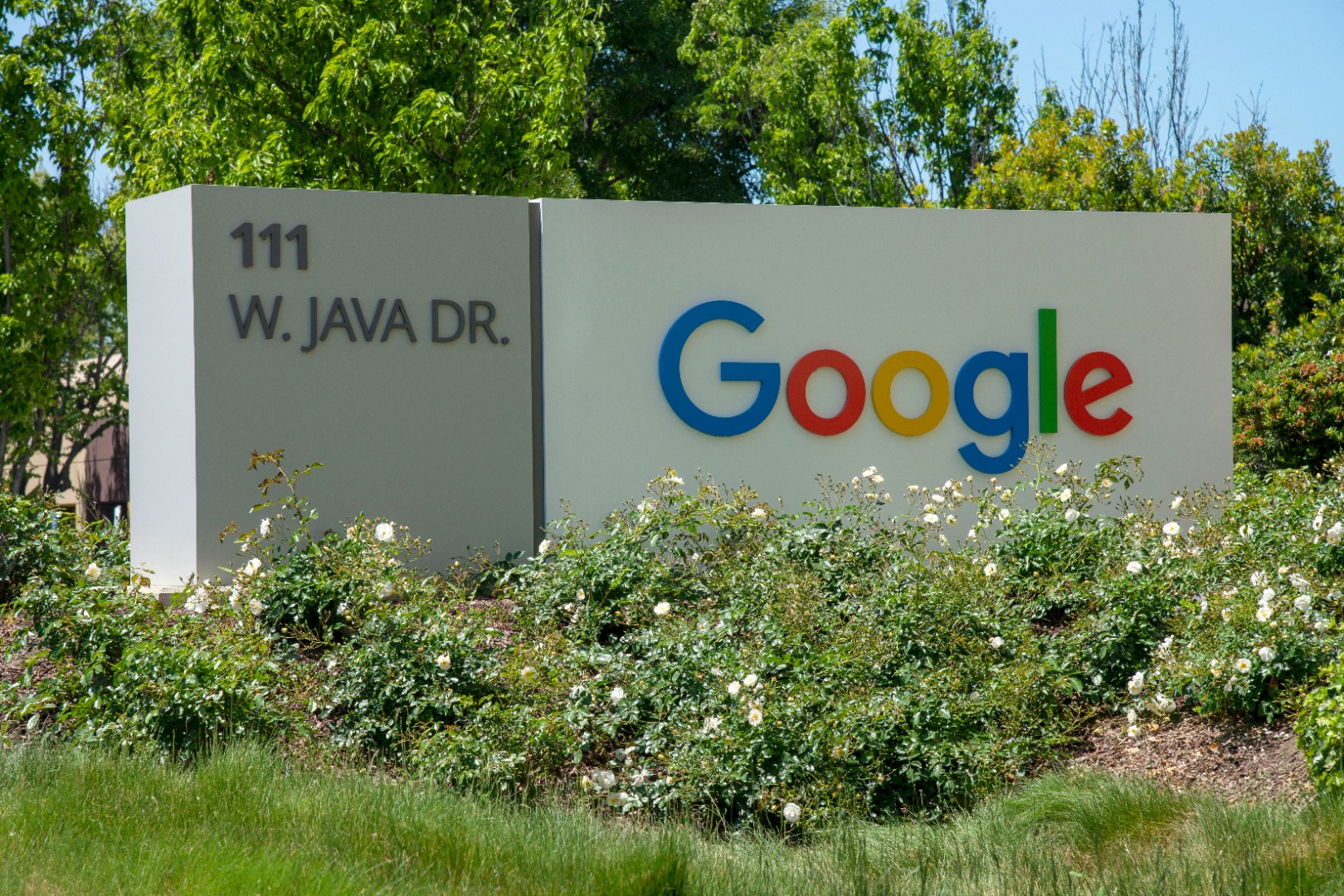 UN partners with Google on global data infrastructure for accurate AI analysis | Justo Global