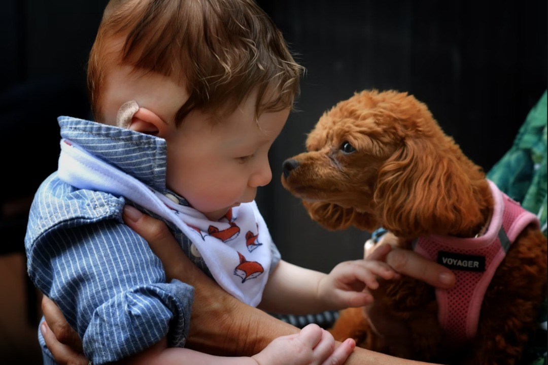AI-Infused Toys: Child Development Boon or Privacy Bane | Justo Global