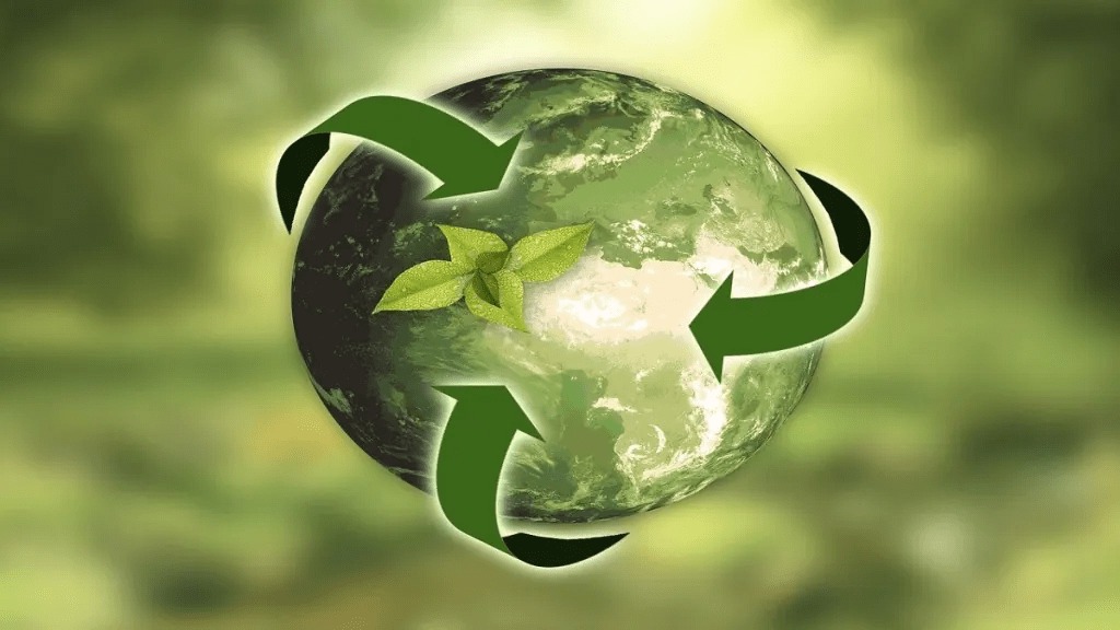 1 in 4 MSMEs have no internal expertise in sustainability measures: SIDBI-D&B SPeX report