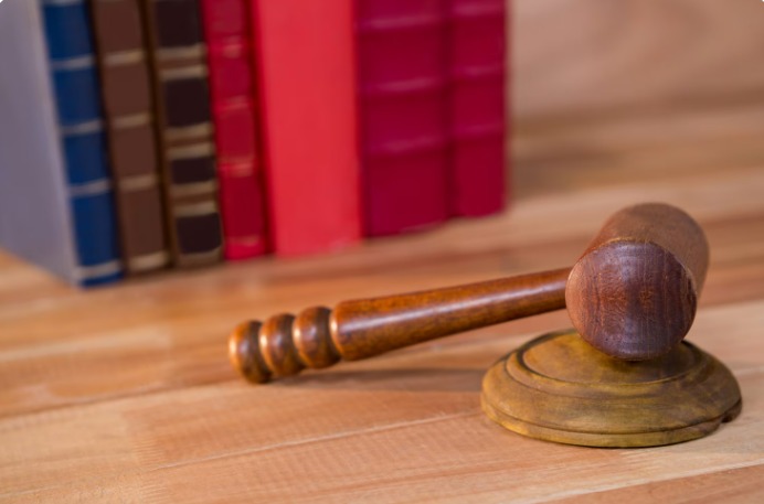  India Retains Directive Powers: X's Free Speech Claim | Justo Global