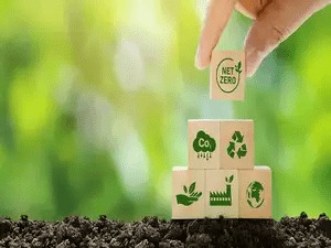 50% of MSMEs ask for monetary incentives to adopt sustainability: SIDBI–D&B SPeX
