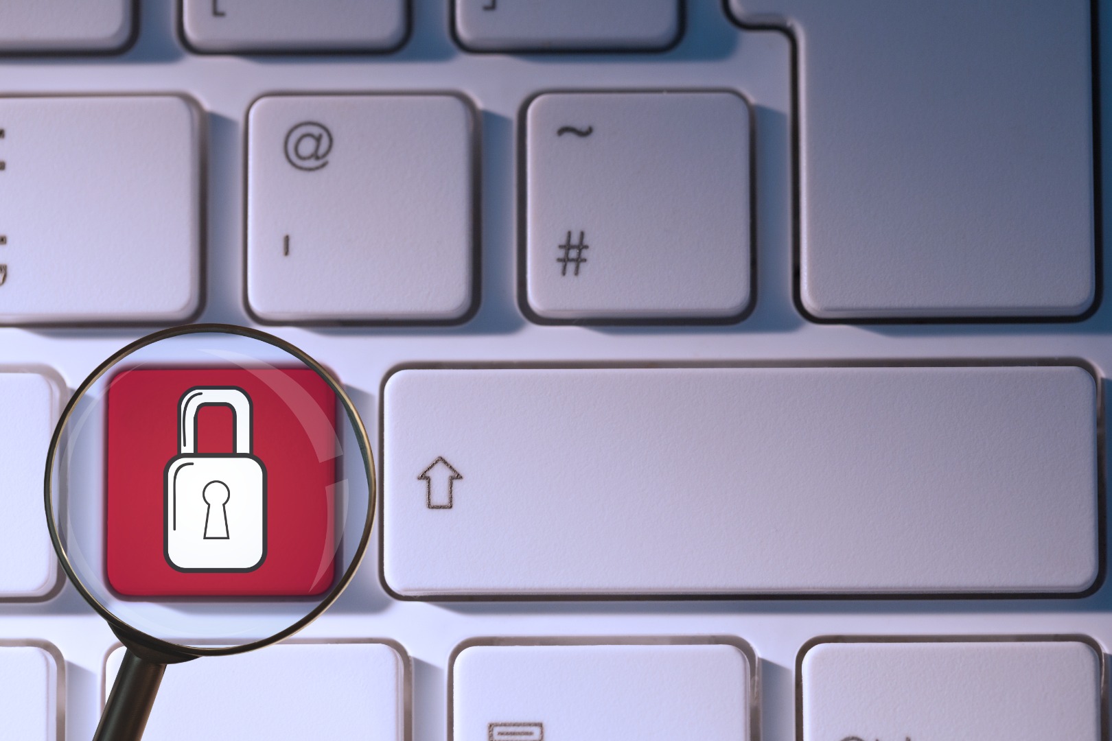 X Money password reset attacks hit users with no breach found | Justo Global